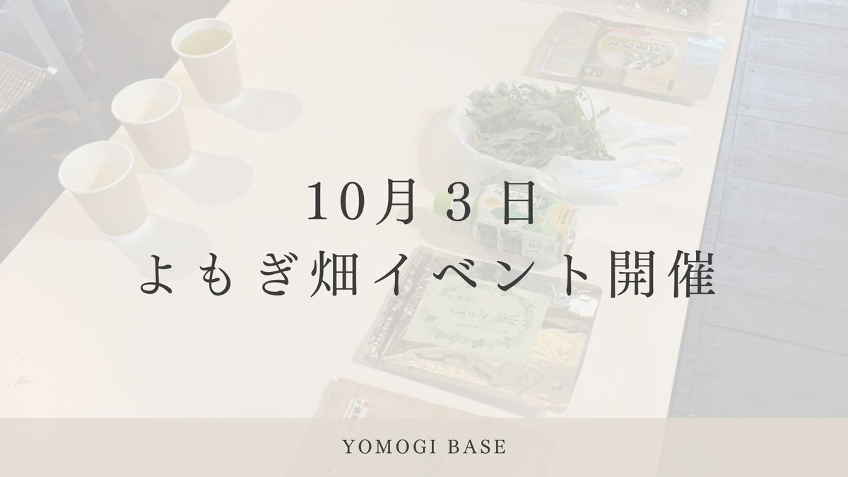 5月に植えたよもぎを刈り取りました。富士見の畑で、ヨモギ茶の飲み比べを開催