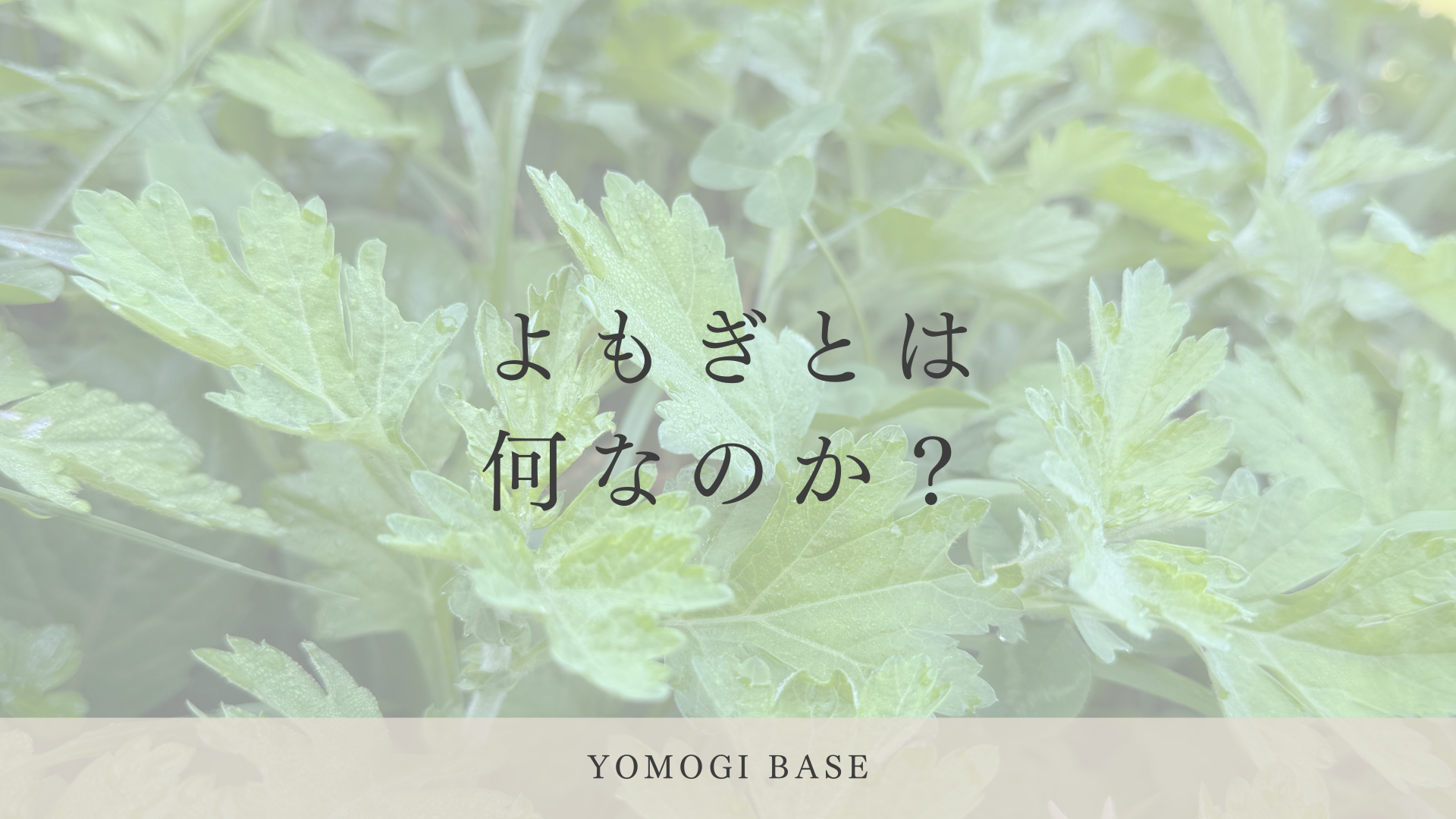 よもぎとは、何者か