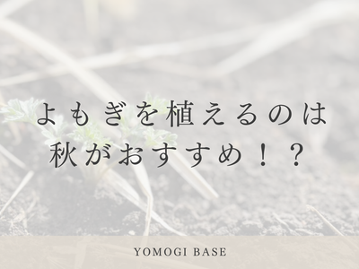 よもぎの種まきはいつがいいのか？【秋に植えるのがおすすめ？】