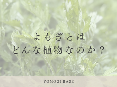 よもぎとは何か｜道端の草が千年愛されてきた理由