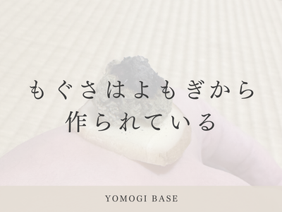 お灸で使うもぐさはよもぎから作られている