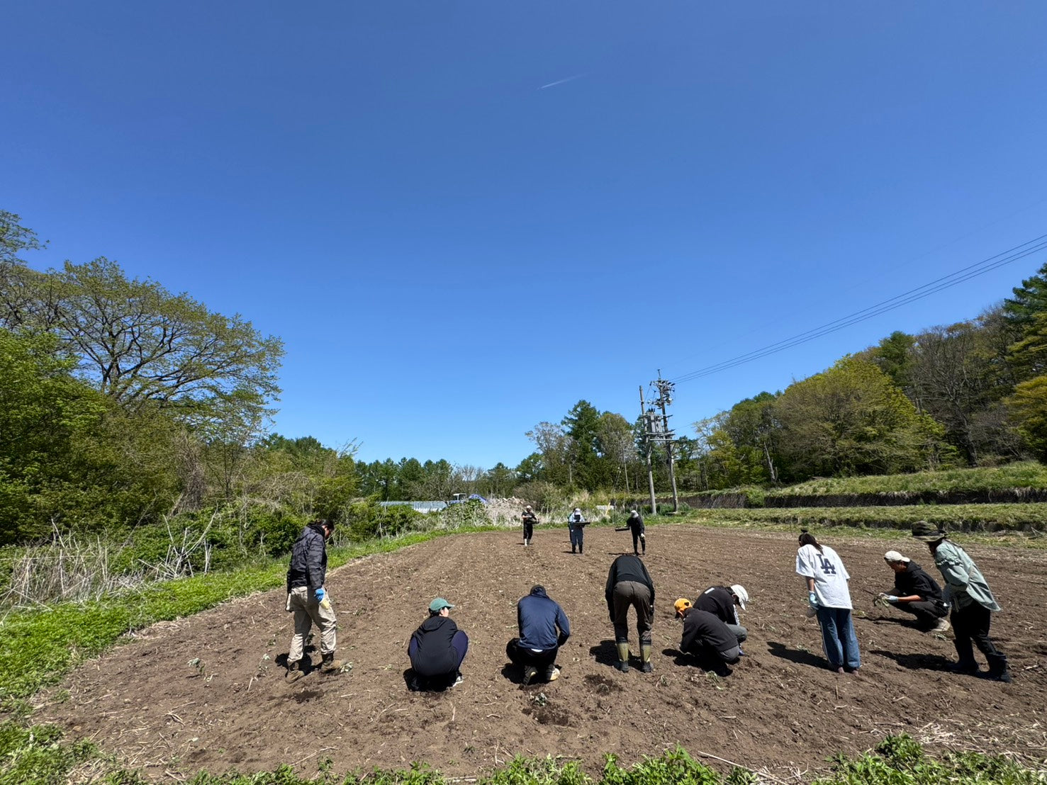 「よもぎを植える会」を開催しました｜信州・八ヶ岳の遊休農地で、最初の植え付け