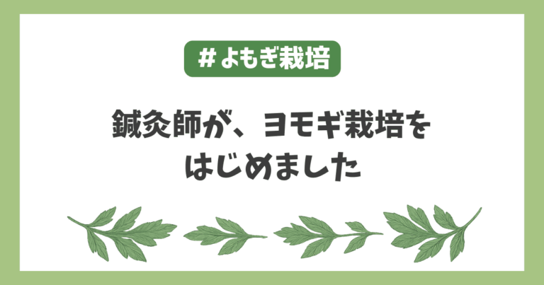 鍼灸師がヨモギ栽培をはじめた
