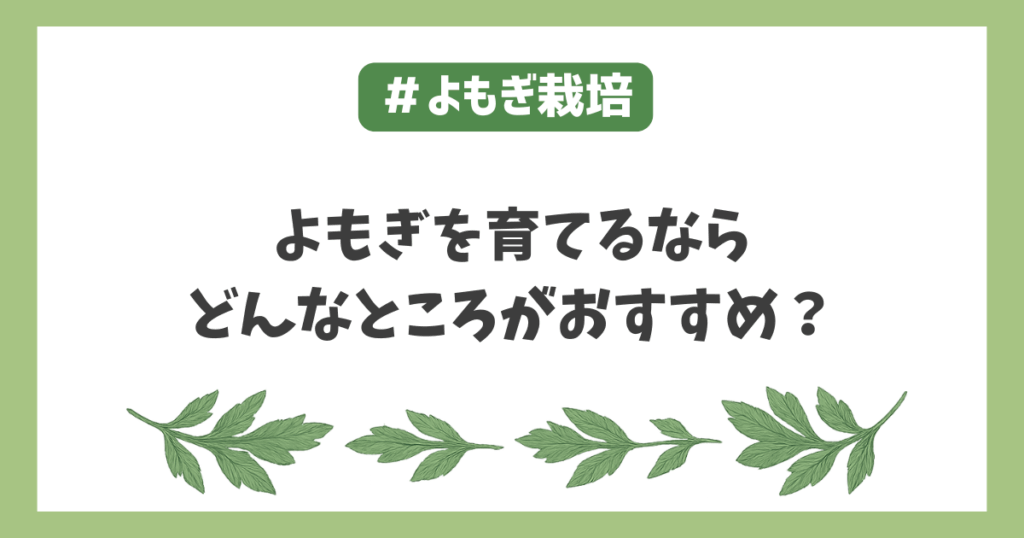 よもぎ栽培