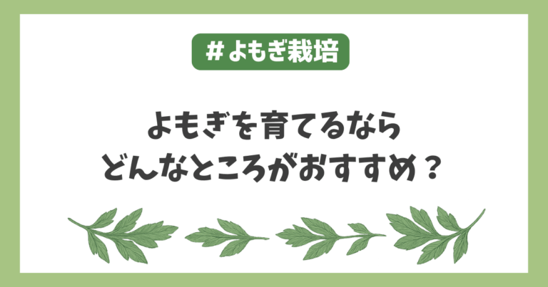 よもぎ栽培