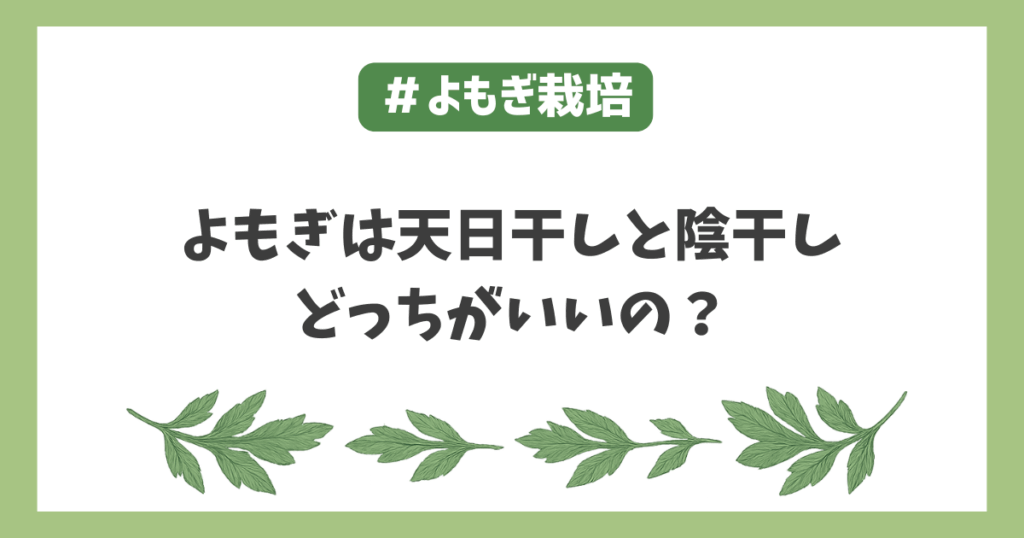 ヨモギ乾燥方法