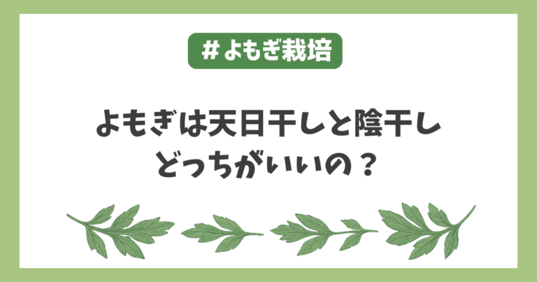 ヨモギ乾燥方法