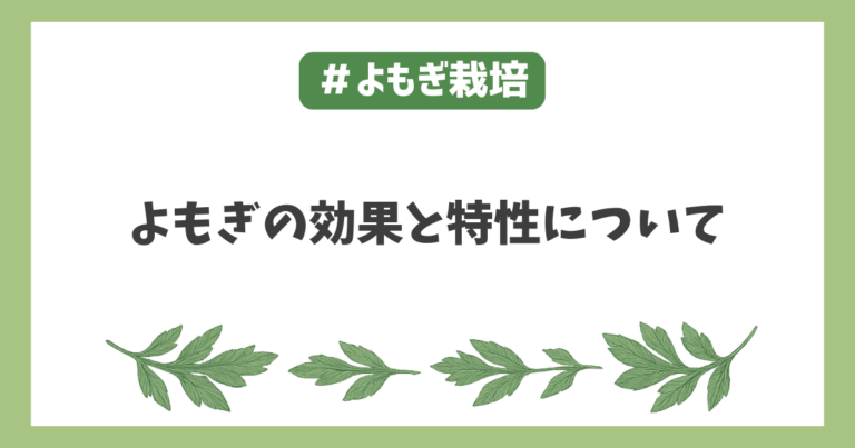 よもぎの効果と特性