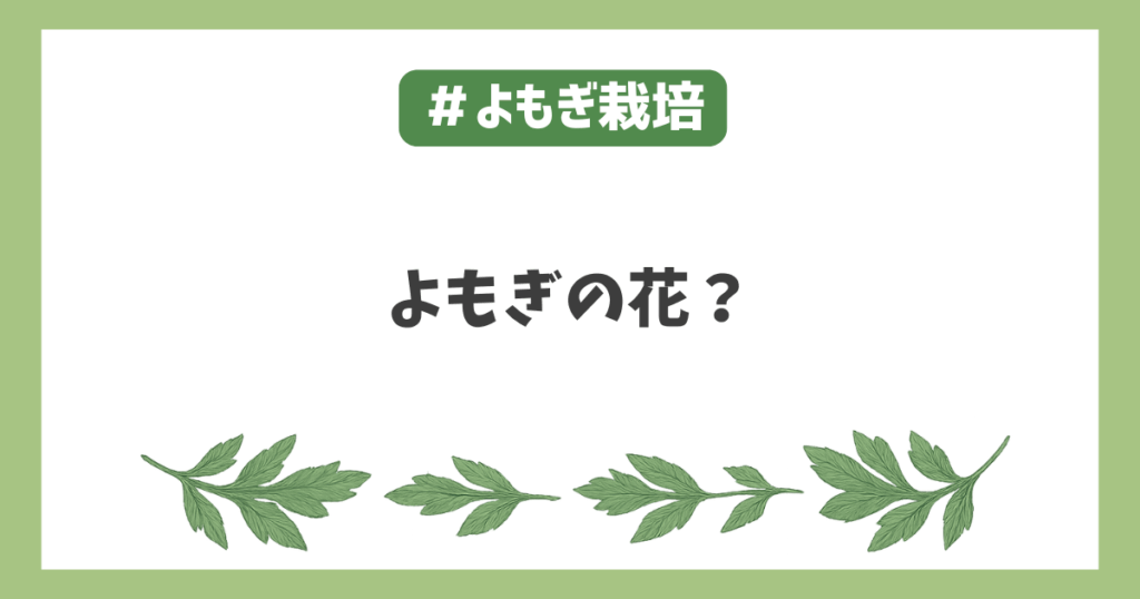 蓬の花