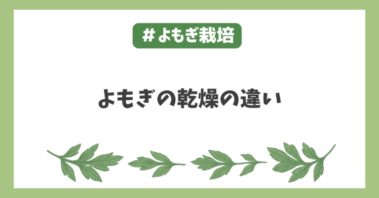 ヨモギ乾燥の違い天日干し陰干し